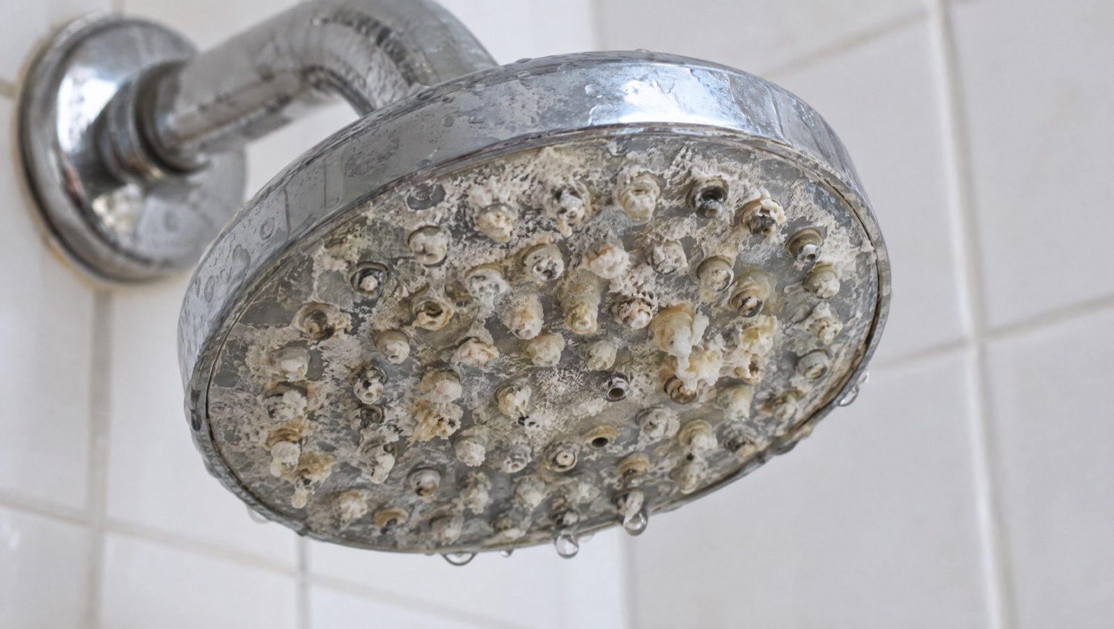 It's Not Your Shampoo – It's Your Water